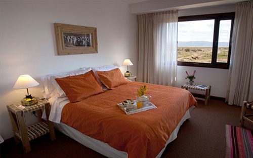 Cauquenes De Nimez El Calafate